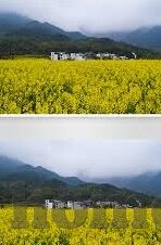 足球波胆比分-揭秘足球波胆比分，一场数字背后的激情与智慧博弈